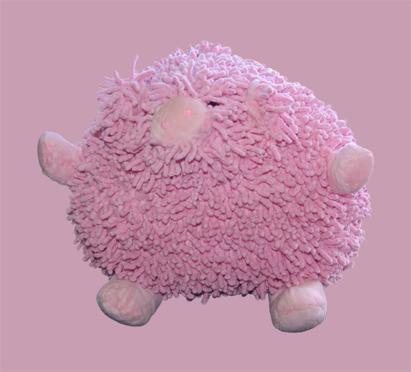 La mascotte dei Lampi, la maialina tutta rosa, dal pelo morbido che abbiamo regalato al Genio.